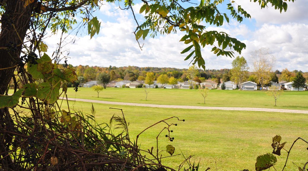 इन टिप्स को अपनाकर रखिये अपने घर के नज़दीकी वातावरण को शुद्ध